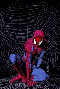 comicbookartwork:  Spider-Man - Gilles Vranckx