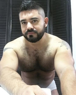 Bear_Hairy