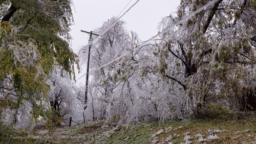 tornadotitans:Photos from the ice storm from this past weekend. All pics are from the El Reno, OK ar