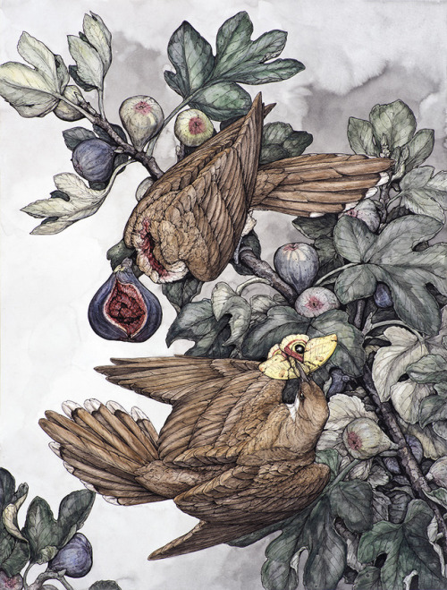 First full image of a piece for my show at Antler Gallery that officially opens tomorrow!  “Fi