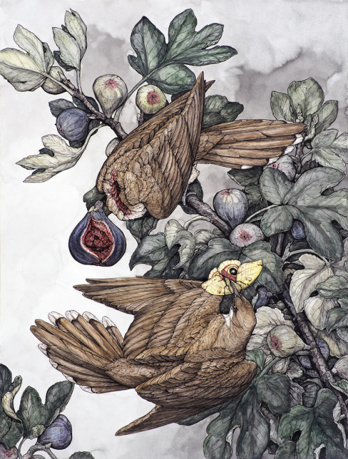 First full image of a piece for my show at Antler Gallery that officially opens tomorrow!“Fig”, 20