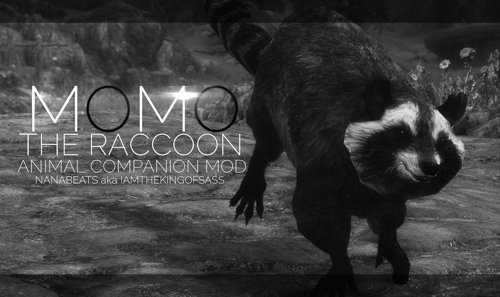Coochi ⚡️ 2 Lit ⚡️ — MOMO The Raccoon Well, shit. My latest photoset...