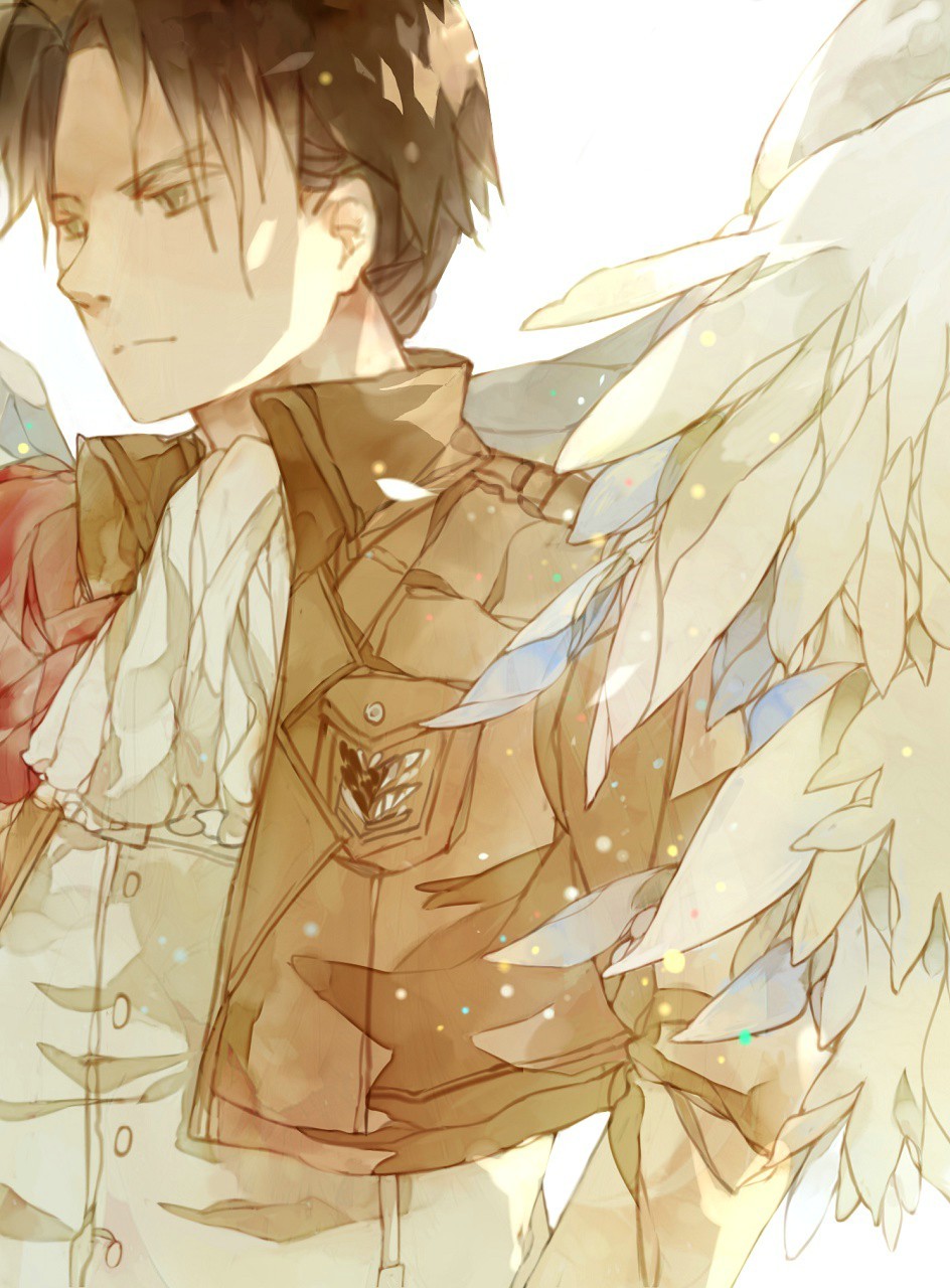 shingeki-no-heichou:  羽 