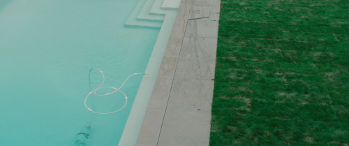 verachytilovas:SWALLOW (2019) dir. Carlo Mirabella-Davis