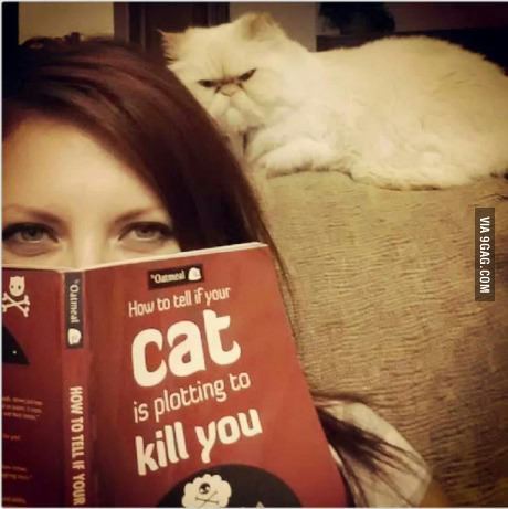 9gag:  First the human, then the world.
