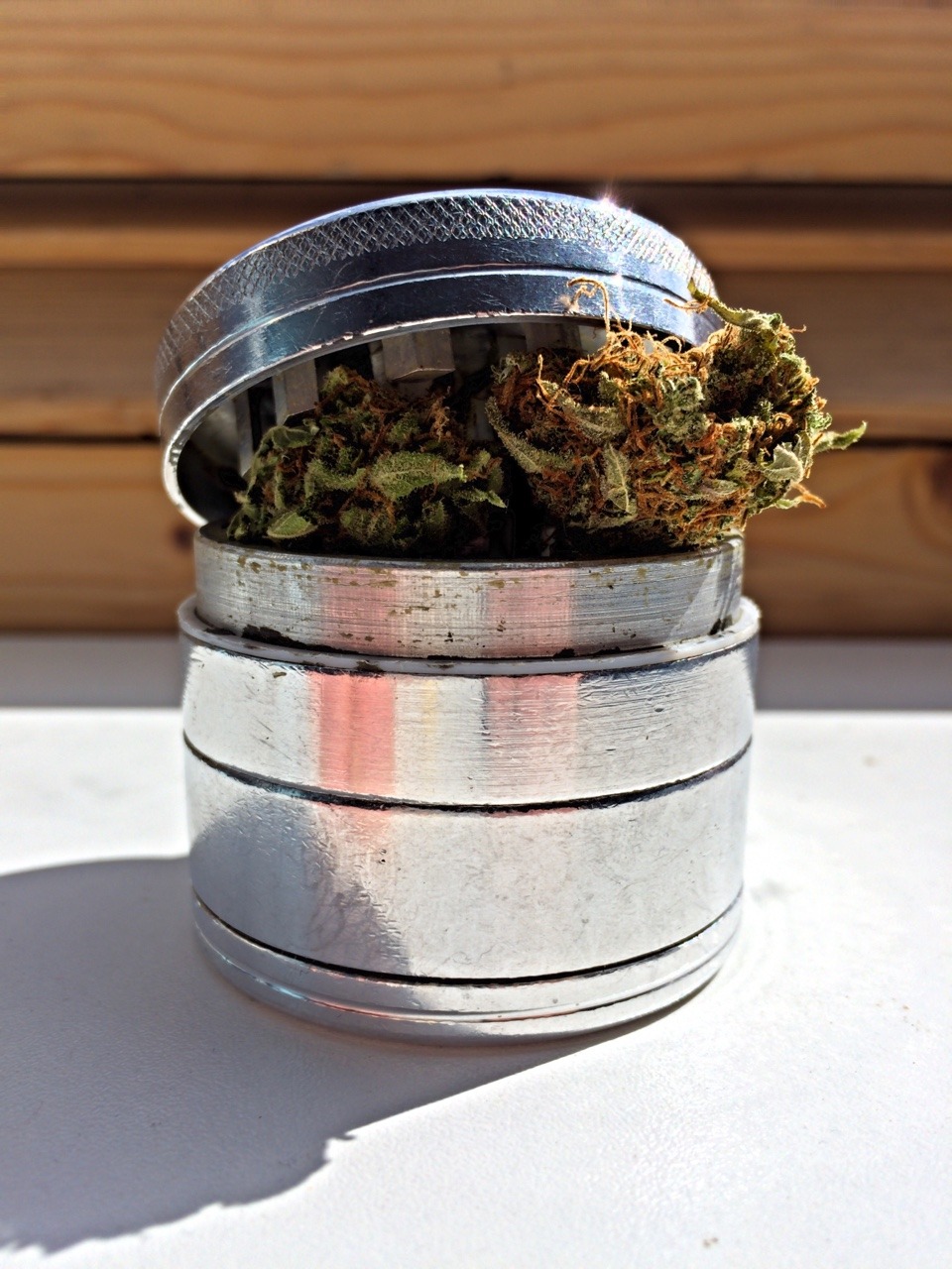potheadvibes:  skunktastic:  Stoner’s best friend 🔥   💨By : Skunktastic 