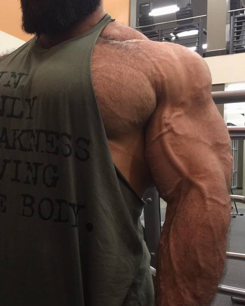 muscleryb:jason huh me vuelve loco !
