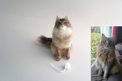 A Needle Fetled Cat Based On Pet Photos.