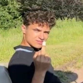 Lando Norris And Middle Finger