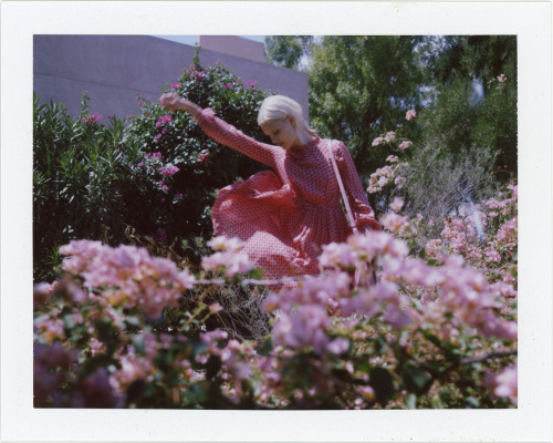 frogsandcrowns.tumblr.com/post/43156832474/