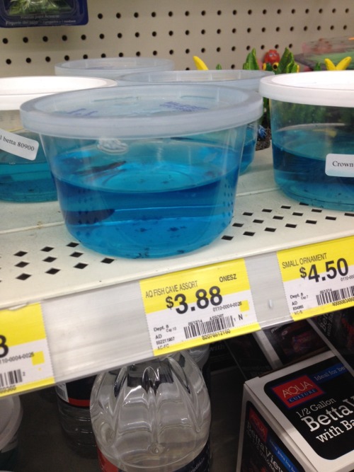 marymargaret23: Okay, listen up. I’m hear to talk about fish abuse. I’m in Walmart with 