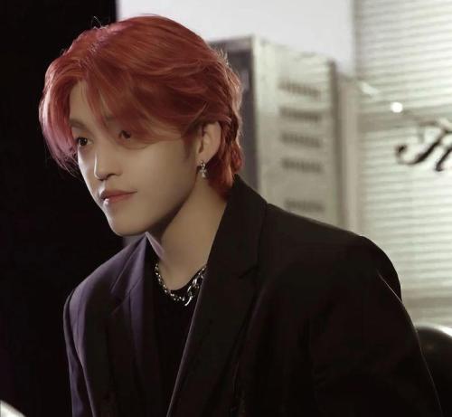 I'm An S.Coups Girl Till I Die