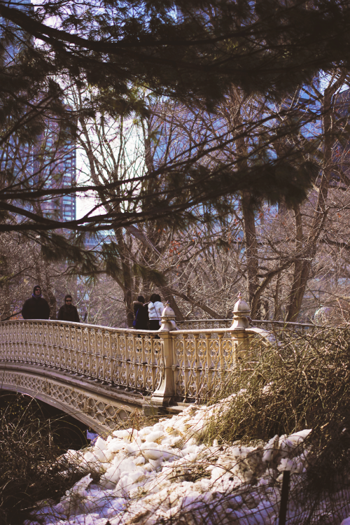 photographsfromfaraway:Winter in Central Park 