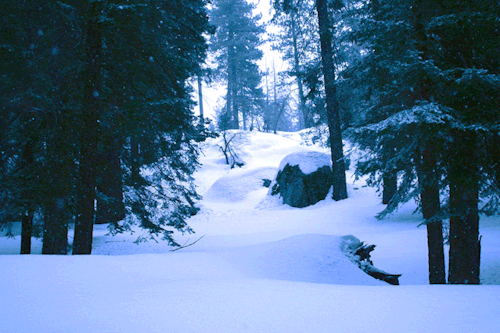 Source: http://expressions-of-nature.tumblr.com