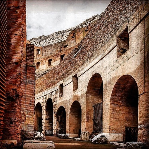 historyoftheancientworld: Inside the Colosseum #colosseum #flavianamphitheatre #amphitheater #gladia