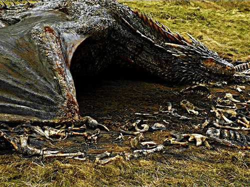 DAENERYS TARGARYEN And DROGON Game Of Thrones (2011-2019) 5.10