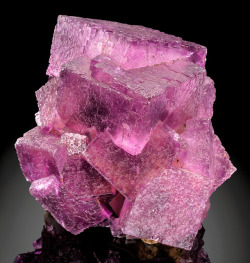 hematitehearts:  Cluster of Raspberry-Purple Fluorite Cubes  Locality:  Rosiclare, Rosiclare Sub-District, Illinois - Kentucky Fluorspar District, Hardin Co., Illinois.  Size:  10.4 cm by 10 cm by 11 cm  