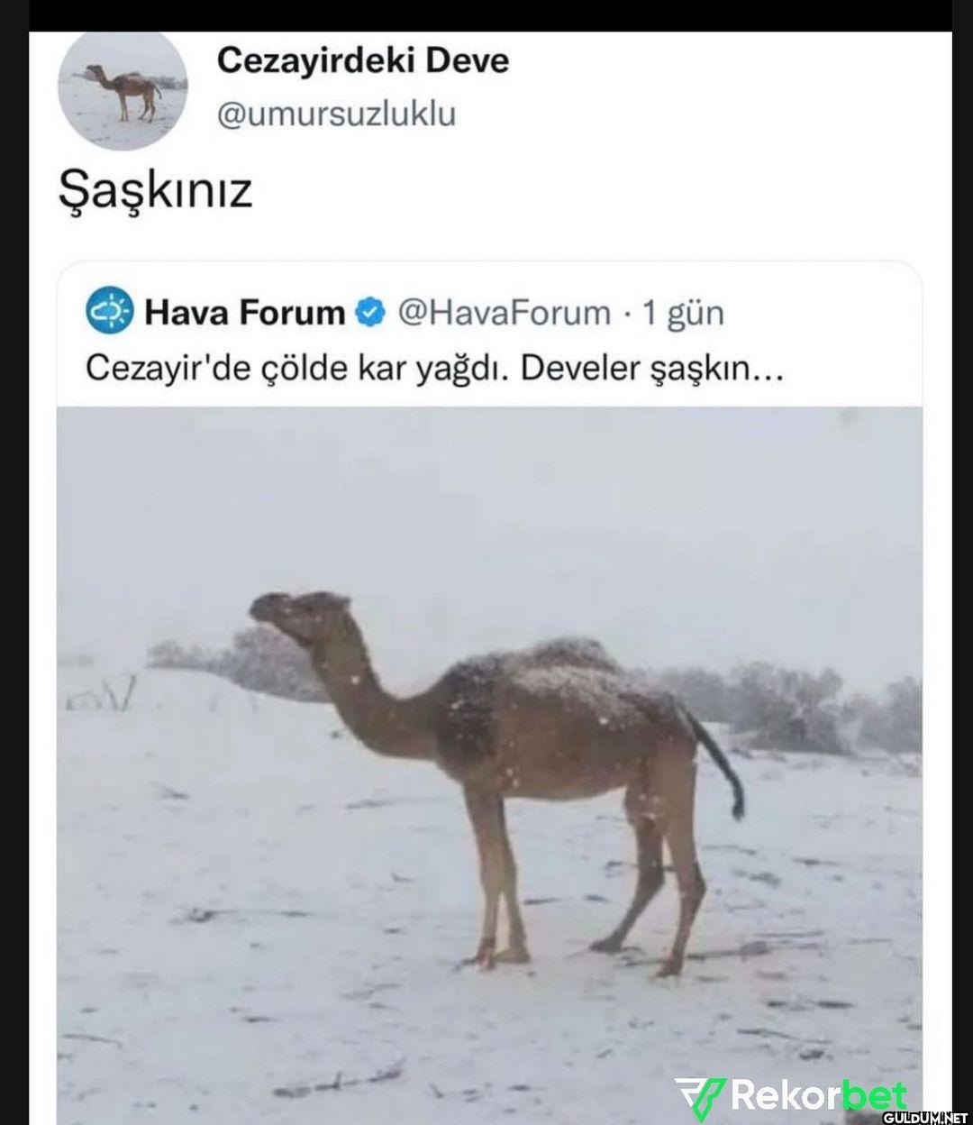 Aksjdjsjdjdjdkdkd  ...