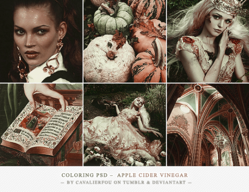 PSD COLORING — apple cider vinegarplease like or reblog if using !do not repost, redistribute,