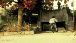 the-world-travel:  BMX  bike parkour 