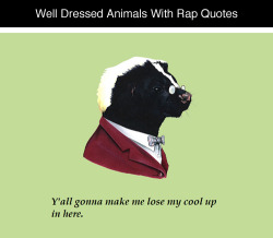 tastefullyoffensive:  Well Dressed Animals With Rap Quotes by Berkley IllustrationPreviously: Rap Lyrics as Poetry 