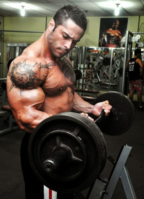 acebannon:  Bruno Spinelli in the gym. 