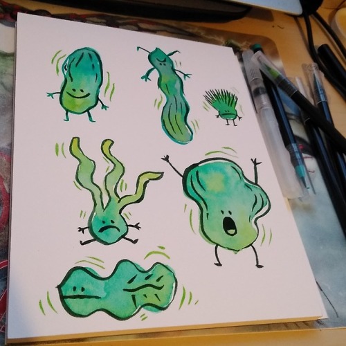 Blue Whale, Great White Shark and seaweed guys watercolour doodles.