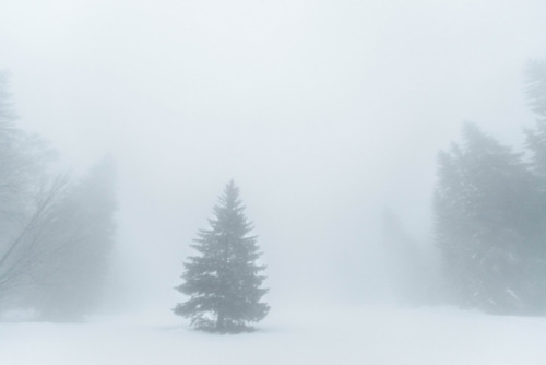 Le Grand Froid Blanc by Samuel Raison