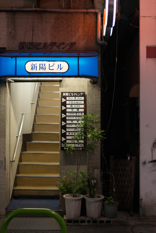 uoduk:  SHINBASHI 