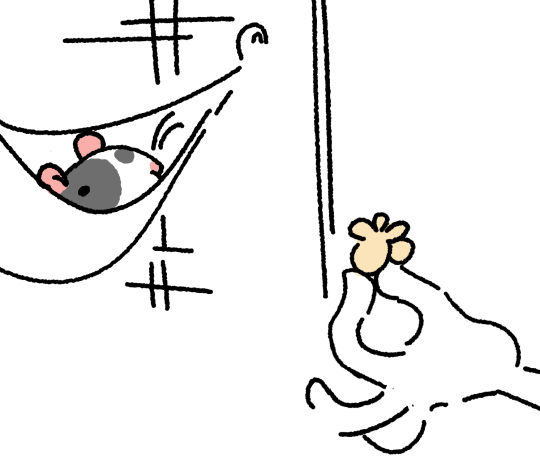 agpicklefeet:  agpicklefeet: I offered my rat some popcorn and it was hilarious  He was like  