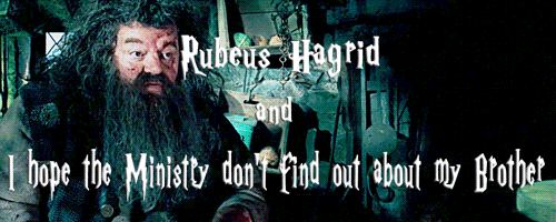hermionegrangcr:Harry Potter Funny Book Titles: Hagrid’s PoVText credit: (x)