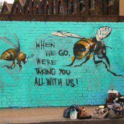 kushandwizdom:  stuckinthewalls:  carlosvlstr:  70 of the top 100 human food crops are pollinated by bees…if they go, we’ll have our work cut out for us…  save the bees  At all costs!  Protect the bees. Buy organic, or non-GMO.