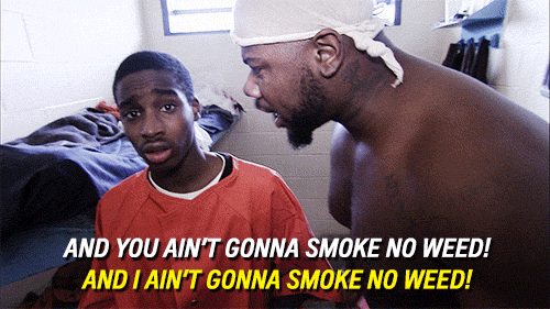 clarknokent:  robregal:  queencityconfidential:  aetv:  You don’t want to have