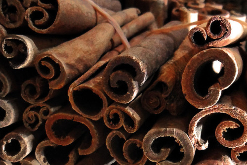 Cinnamon Sticks, Istanbul bazaar - Turkey   