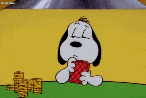 tumblr_pi1kc68Jqx1ro8ysbo1_500.gif