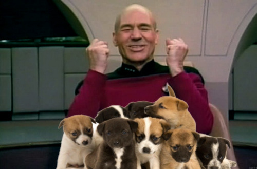 touchdownpossum:For Llin, who pointed out that as of TNG S2, Picard had never played with puppies.