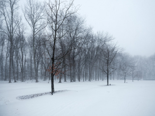 Survived the #bombcyclone! ❄️ . . . . . #naturephoto #watchthisinstagood #artofvisuals #awesome_eart