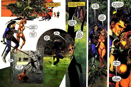 The Swords of Heaven, the Flowers of Hell by Howard Chaykin