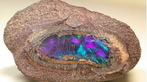 the-first-sun-nymph: Opalized wood