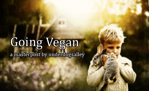 fightingforanimals: underdogsalley: Educate yourself 100 reasons to go vegan What are animal rights?