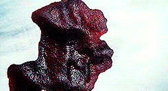 sungl0ry:  hannibal + blood ( s1 &amp; s2)