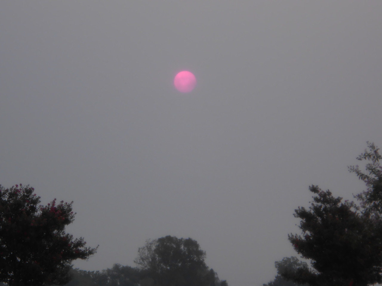 aquablueskies:  7:10 AM 