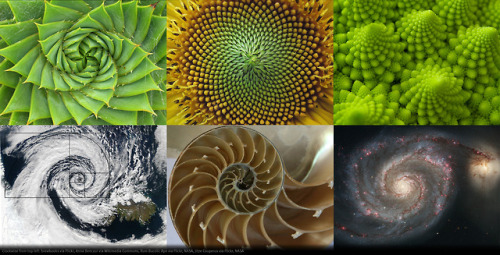 1, 1, 2, 3, 5, 8, who do we appreciate? Fibonacci, because it’s #FibonacciDay (11/23)0 1 1 2 3