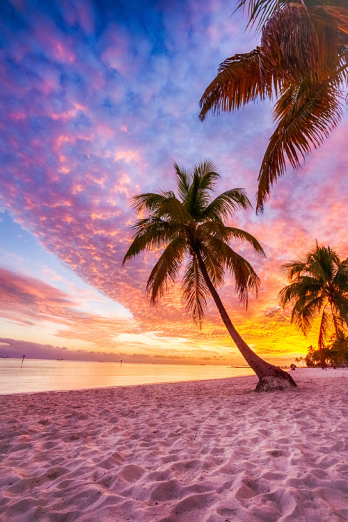 tropicalelysium: Sunset Beach by Viraj Nagar  Key West, Florida   xx