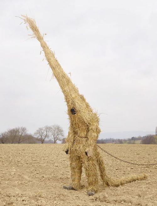 skeleton-richard:owlmylove:farmwitch:Charles Freger photographed and travelled through 19 countries 