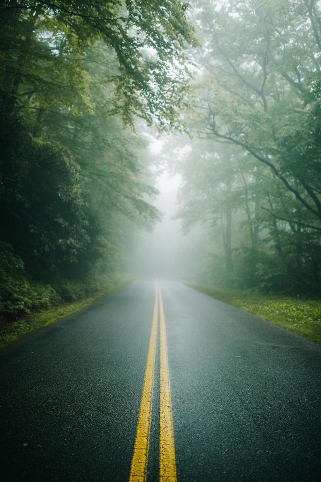 (by Wes Hicks) #vertical#landscape#x#a#watsf #curators on tumblr #Wes Hicks#road#forest#woods#trees #blue ridge parkway #North Carolina