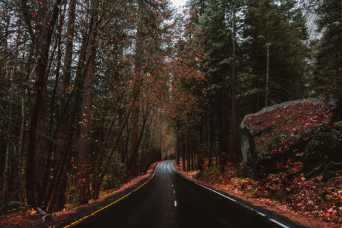 jasonincalifornia:Fall Yosemite RoadsPrints/Society6