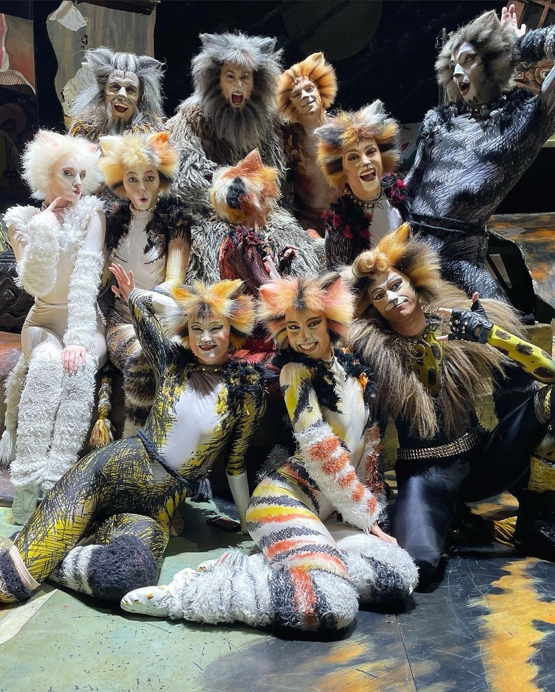 Asia Tour 2022-2023, 'Cats' Musical Wiki