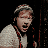 harrypotterdailly: The best of Ronald Weasley - Part I, Part II