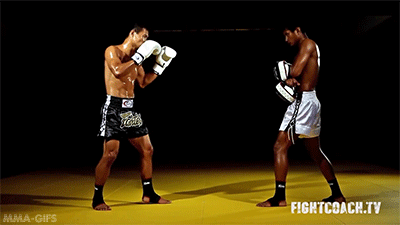 mma-gifs:  Technique of the Week: Muay Thai Front KickThe front kick (“teep”)